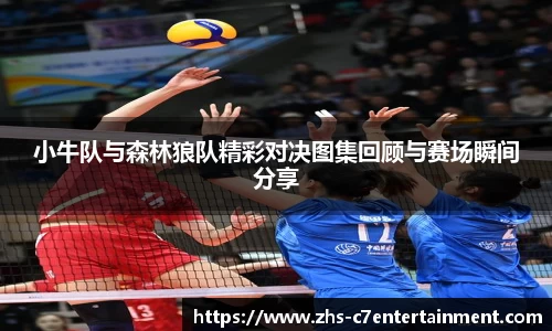 小牛队与森林狼队精彩对决图集回顾与赛场瞬间分享